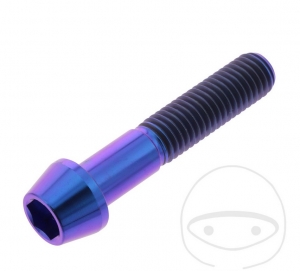 Round conical cap screw Pro Bolt M10 x 1.50 x 50 mm stainless steel A4 violet - JM