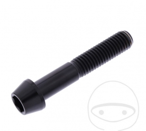 Round conical cap screw Pro Bolt M10 x 1.50 x 55 mm stainless steel A4 black - JM