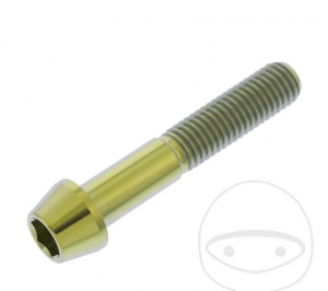 Round conical cap screw Pro Bolt M10 x 1.50 x 55 mm stainless steel A4 gold - JM