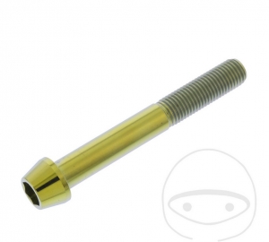 Round conical Pro Bolt M10 x 1.25 x 75 mm stainless steel A4 gold screw