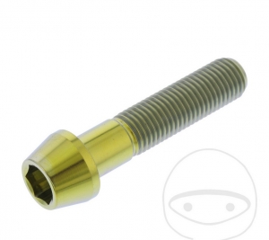 Rund konischer Kappenbolzen Pro Bolt M10 x 1.25 x 45 mm Edelstahl A4 gold - JM