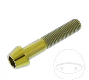 Rund konischer Pro Bolt Schraube M10 x 1.25 x 50 mm Edelstahl A4 gold - JM