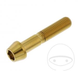 Runder konischer Kappe Schraube Pro Bolt M10 x 1.25 x 50 mm Edelstahl A4 gold - JM