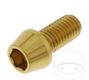 Rundkegelkappe Schraube Pro Bolt M10 x 1.50 x 20 mm Edelstahl A4 Gold - JM