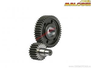 Secondary transmission HTQ Z 22/45 - Vespa GTS 250i H2O 4T E3 ('14-'16) / GTS Super ABS 300i H2O 4T E3 ('14-'18) - Malossi