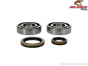 Set bearings / crankshaft seals - Beta EVO 4T 250 ('09-'18) / EVO 4T 300 ('09-'21) - All Balls