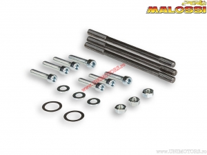 Set crankcase bolts MP-One - Malossi