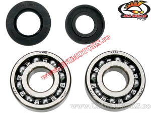 Set lagers en afdichtingen krukas - Kawasaki KX 250 ('80-'86) - (All Balls)