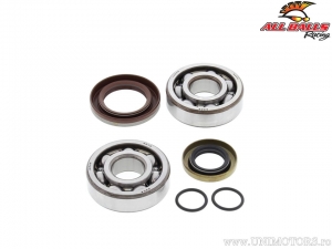 Set lagers / keerringen krukas - Gas-Gas MC65 / Husqvarna TC65 / KTM SX65 / SXS65 / XC65 - All Balls