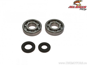 Set of bearings and seals for crankshaft - Kawasaki KX250 - All Balls