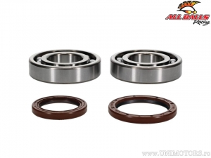 Set of bearings / crankshaft oil seals - Beta RR 4T 350 / RR 4T 450 / R-S 4T 350 / RR-S 4T 500 / RS 4T 430 / RS 4T 520 - All Bal