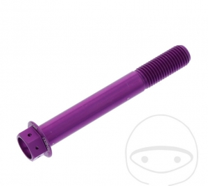 Surub cap hexagonal Pro Bolt M10 x 1.25 x 75 mm aluminiu Racing violet - JM