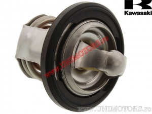 Thermostat - Kawasaki KFX 250 A Mojave KSF ('00-'04) / KLR 250 D ('84-'92) - Kawasaki