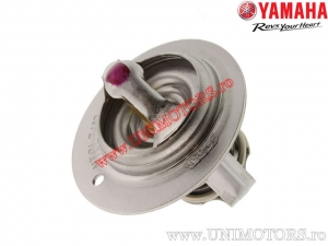 Thermostat - Yamaha YXM 700 E Viking ('14-'15) - Yamaha