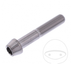 Tornillo cónico de tapa redonda Pro Bolt M10 x 1.25 x 55 mm acero inoxidable A4 - JM