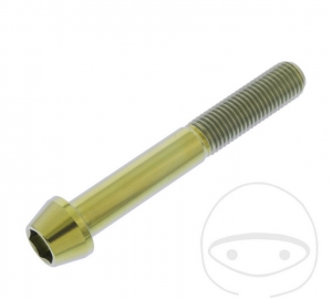 Tornillo de cabeza cónica redonda Pro Bolt M10 x 1.25 x 70 mm Acero inoxidable A4 Oro - JM