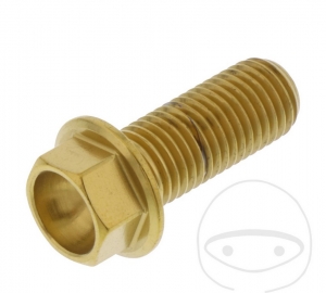 Tornillo de cabeza hexagonal Pro Bolt M10 x 1.25 x 25 mm de acero inoxidable A4 dorado - JM