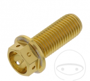 Tornillo de tapa hexagonal Pro Bolt M10 x 1.25 x 25 mm Aluminio Racing dorado - JM