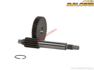 Transmisie primara HTQ Z 15/38 (diametru fortat 17mm) - Aprilia SR50 Factory H2O 2T E2 '04-'09 (Piaggio) - Malossi