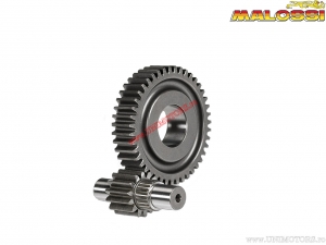 Transmission secondaire HTQ Z 15/41 (accouplement denté) - Piaggio Medley 125i IGET H2O 4T 4V E4 ('16-'19) - Malossi