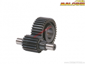 Transmission secondaire HTQ Z 15/47 (diamètre forcé) - Piaggio Liberty 125 Air 4T 2V E1 ('98-'01) - Malossi