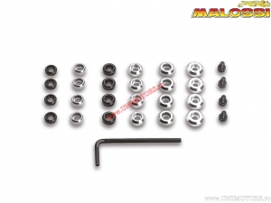 Variator Weight Set (24 pieces) - MBK 51 V 50 (AV 10) / Peugeot 103 RCX 50 / 103 SP (104 -105) - Vogue 50 2T - Malossi