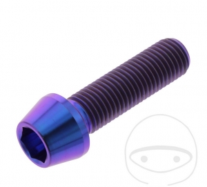 Vis à tête conique ronde Pro Bolt M10 x 1.25 x 35 mm en acier inoxydable A4 violet - JM