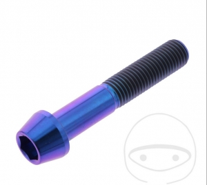 Vis à tête conique ronde Pro Bolt M10 x 1.25 x 55 mm en acier inoxydable A4 violet - JM