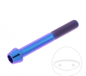 Vis à tête conique ronde Pro Bolt M10 x 1.25 x 75 mm en acier inoxydable A4 violet - JM