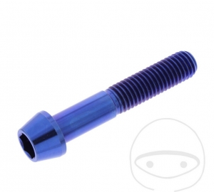 Vis à tête conique ronde Pro Bolt M10 x 1.50 x 55 mm en acier inoxydable A4 bleu - JM