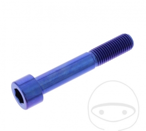 Vis à tête ronde Pro Bolt M10 x 1.25 x 60 mm acier inoxydable A4 bleu - JM