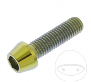 Vis conique ronde Pro Bolt M10 x 1.50 x 35 mm acier inoxydable A4 doré - JM