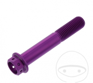 Vis de bouchon hexagonal Pro Bolt M10 x 1.25 x 60 mm aluminium Racing violet - JM