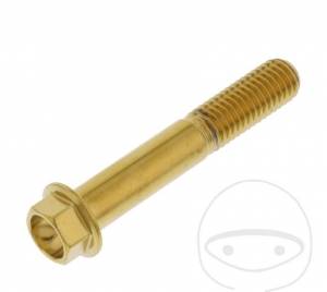 Vite a cappuccio esagonale Pro Bolt M10 x 1.25 x 60 mm Acciaio inossidabile A4 Oro - JM