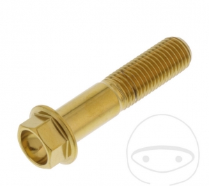 Vite a testa esagonale Pro Bolt M10 x 1.25 x 45 mm Acciaio inossidabile A4 Oro - JM