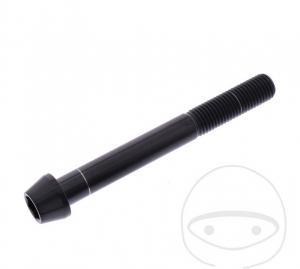 Vite conica rotonda Pro Bolt M10 x 1.25 x 85 mm in acciaio inossidabile A4 nero - JM