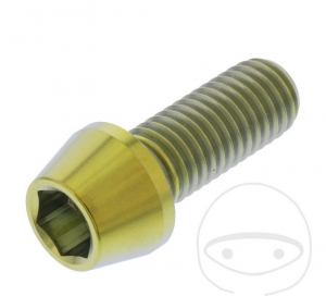 Vite tappo conico rotondo Pro Bolt M10 x 1.50 x 25 mm in acciaio inossidabile A4 oro - JM