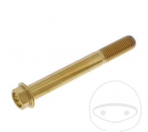 Vite tappo esagonale Pro Bolt M10 x 1.25 x 80 mm Acciaio inossidabile A4 Oro - JM