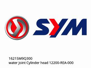 Wasseranschluss Zylinderkopf 12200-REA-000 - 16215M9Q300 - SYM