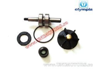 Water pump repair kit - Aprilia SR 50R / Gilera DNA / Runner / Piaggio NRG / NTT / Quartz / Zip SP 50cc 2T - (Olympia)