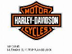 Écrou, M6X1 CL 10 TOP FLANGE LOCK - 10100145 - Harley-Davidson