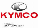 ÖLPUMPE ASSY **(0) C.2005.09. - 15100KUDU900 - Kymco