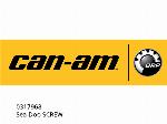 ȘURUB SEADOO - 0317968 - Can-AM