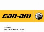 ȘURUB SEADOO, CU CANELURI - 0306559 - Can-AM