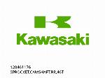 ΓΡΑΝΑΤΗΣ, ΕΞΑΡΤΗΜΑ ΕΞΑΤΜΙΣΗΣ, ΠΙΣΩ, 46T - 120461176 - Kawasaki