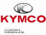 ΔΕΞΙΟ ΠΟΔΙΣΤΗΡΙΟ AK 550I - 64310LGC6E00N1R - Kymco