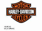 ΕΛΑΤΗΡΙΟ ΒΑΛΒΙΔΑΣ - 18245-02 - Harley-Davidson