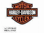 ΜΕΤΑΛΛΙΟΝ, ΑΡΙΣΤΕΡΟ - 14100707BABZ - Harley-Davidson