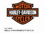 ΜΕΤΑΛΛΙΟ, ΤΙΜΟΝΙ, ΦΩΤΕΙΝΟ ΣΩΛΗ & SH - 14101664 - Harley-Davidson