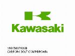 КАПАК, КОМПЛЕКТ ВИЛКА БОЛТ, КАФЯВ - 11065037939B - Kawasaki